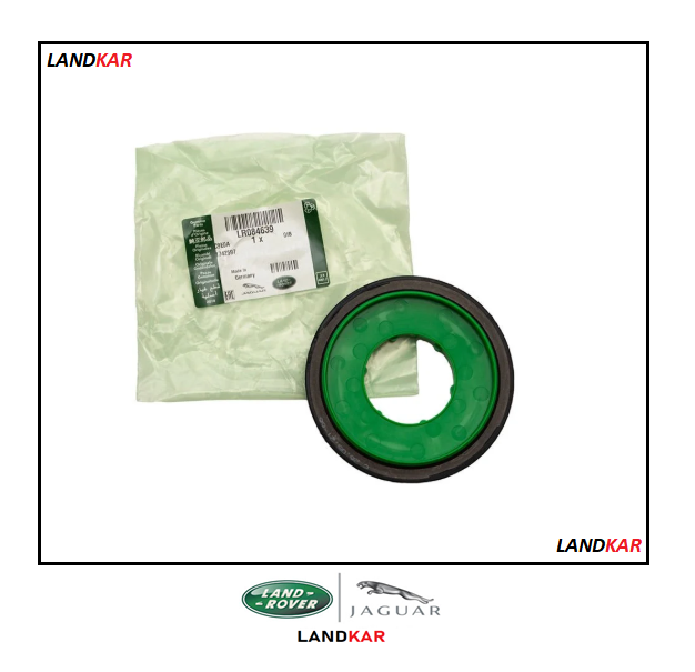 Arka Krank Keçesi - LR084639